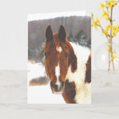 Het mooie Wenskaart van het Paard van de Winter Kaart (Gele Bloem)