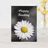 Het mooie witte en gele madeliefje van de kaart (Gele Bloem)