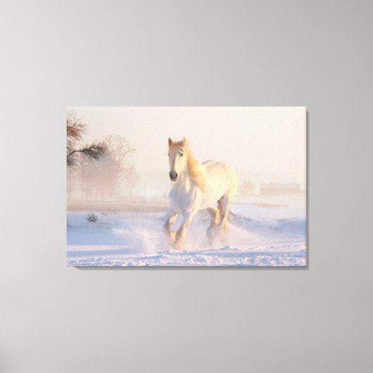 Het mooie witte paard Galloping in de sneeuw Canvas Afdruk (Voorkant)