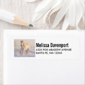 Het mooie witte paard Galloping in de sneeuw Etiket (Insitu)