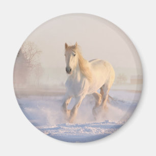 Het mooie witte paard Galloping in de sneeuw Magneet