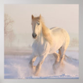 Het mooie witte paard Galloping in de sneeuw Poster (Voorkant)