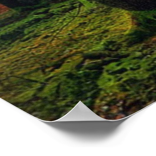 Het mooie zomerlandschap poster (Hoek)