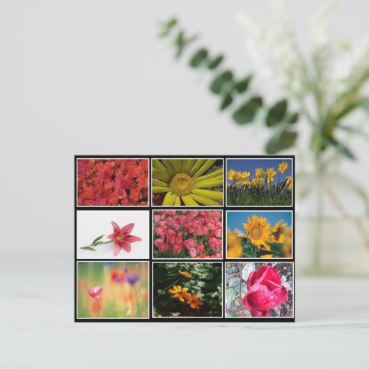 Het mooiste Briefkaart van de Bloemkool (Staand voorkant)