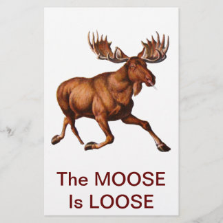 HET MOOSE IS VERLOOS