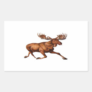 HET MOOSE IS VERLOOS RECHTHOEKIGE STICKER