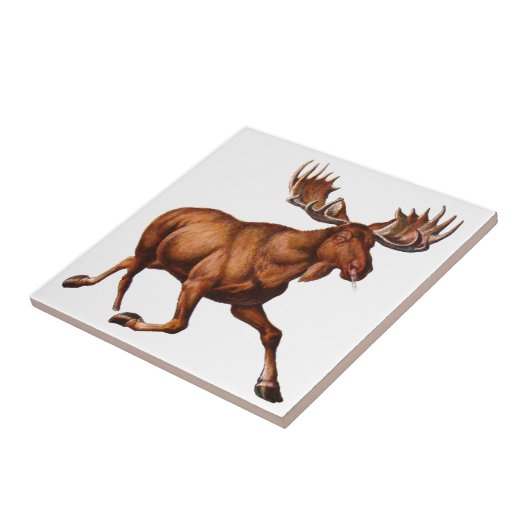 HET MOOSE IS VERLOOS TEGELTJE (Zijkant)