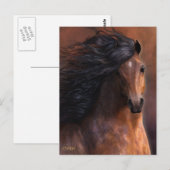 Het Morgan Horse Briefkaart (Voorkant / Achterkant)