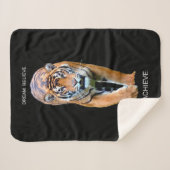 Het Motivatie Citaat van de Zelfverbetering van he Sherpa Deken (Voorkant (horizontaal))