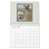 Het Mutts-schema voor Hondenliefhebbers Kalender (Jan 2027)