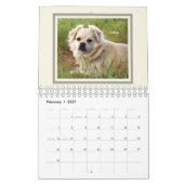 Het Mutts-schema voor Hondenliefhebbers Kalender (Feb 2027)