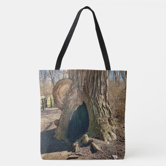 Het Mysterieuze Hol Tote Bag (Voorkant)