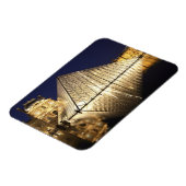 Het nachtelijke uitzicht van de glazen piramide va magneet (Linkerzijde)