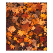 het najaar foto afdruk (Voorkant)