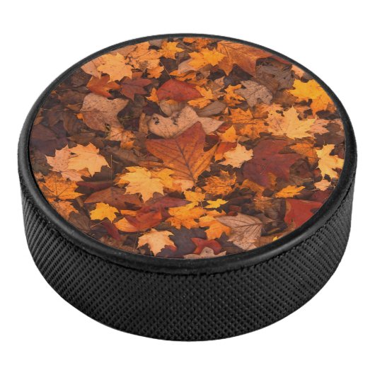 het najaar hockey puck (3/4)