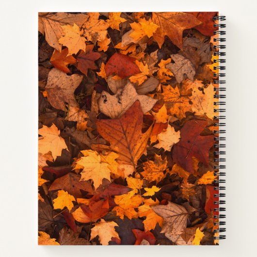 het najaar notitieboek (Achterkant)