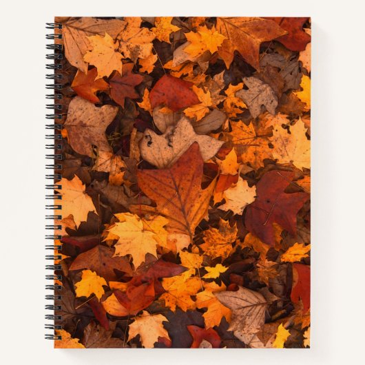 het najaar notitieboek (Voorkant)