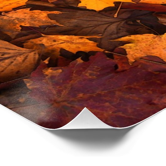 het najaar perfect poster (Hoek)