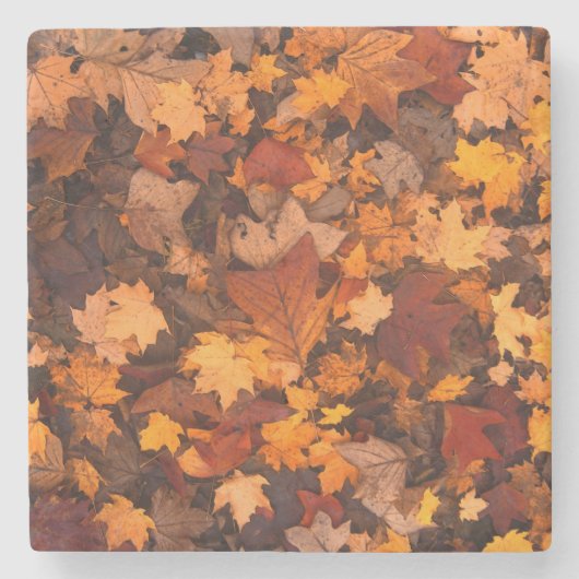 het najaar stenen onderzetter (Voorkant)