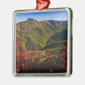 Het najaar uitzicht van Linville Gorge noemde vaak Metalen Ornament (Links)