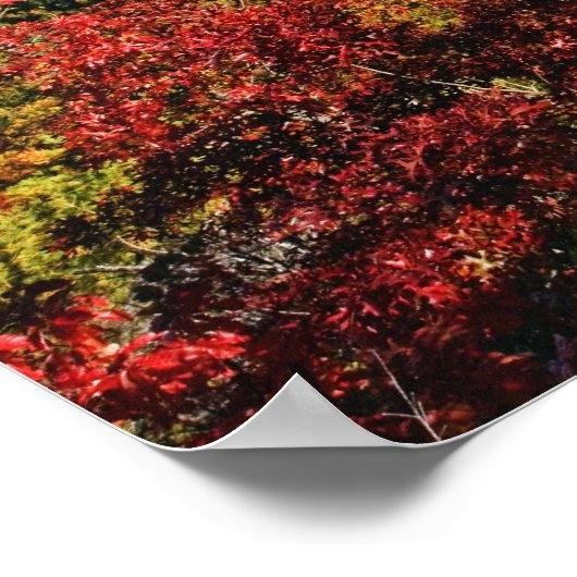 Het najaar uitzicht van Linville Gorge noemde vaak Poster (Hoek)