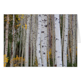 Het najaar van de Aspen