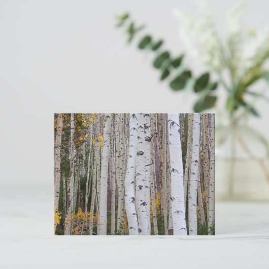 Het najaar van de Aspen Briefkaart (Staand voorkant)