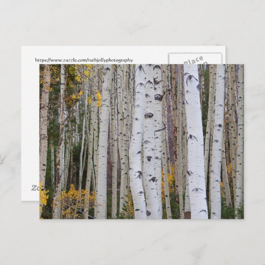 Het najaar van de Aspen Briefkaart (Voorkant / Achterkant)