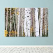 Het najaar van de Aspen Canvas Afdruk (Insitu (Houten vloer))