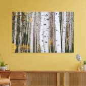 Het najaar van de Aspen Canvas Afdruk (Insitu (Woonkamer))