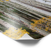 Het najaar van de Aspen Foto Afdruk (Hoek)
