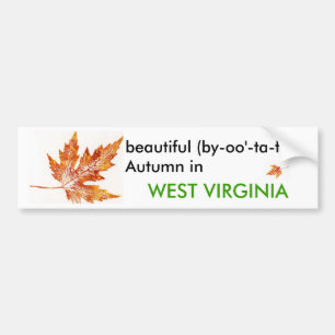 Het najaar van de Bumpersticker in West Virginia