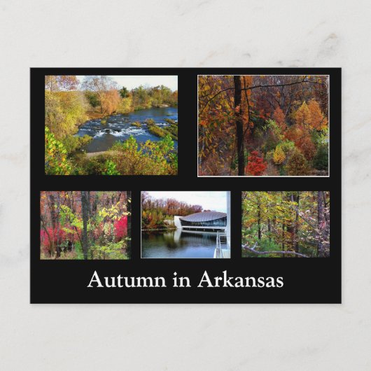 Het najaar van het Briefkaart van Arkansas Fotogra (Voorkant)