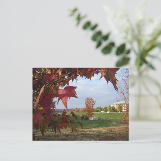 Het najaar van het Briefkaart van Convo (Staand voorkant)