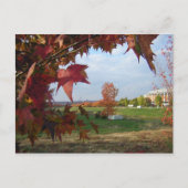 Het najaar van het Briefkaart van Convo (Voorkant)