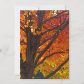 Het najaar van het Vrijgezellenfeest van de Schaaf Kaart (Achterkant)