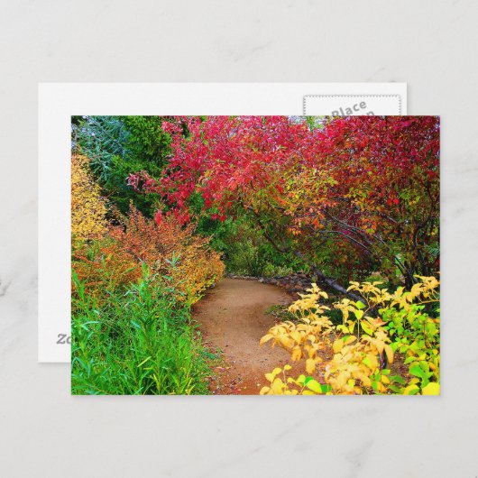 Het najaarspad briefkaart (Voorkant / Achterkant)
