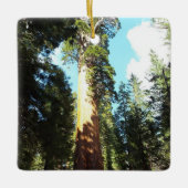 Het nationaal park Sequoia and Kings Canyon Keramisch Ornament (Voorkant)