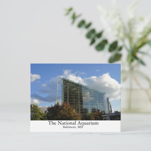 Het nationale aquarium briefkaart (Staand voorkant)