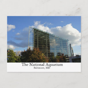 Het nationale aquarium briefkaart