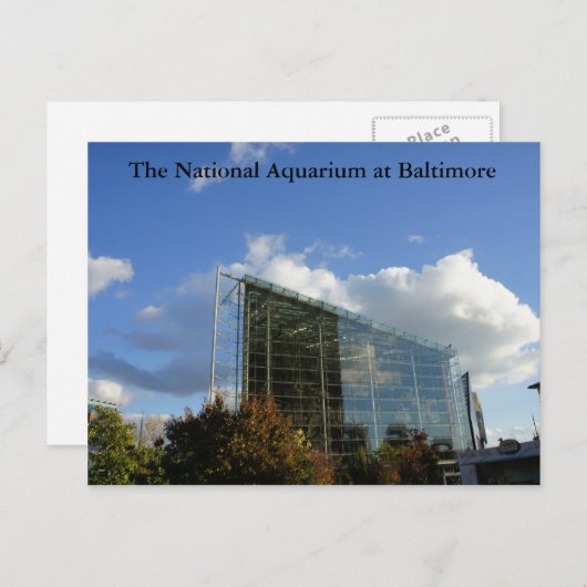 Het nationale aquarium van Baltimore Briefkaart (Voorkant / Achterkant)