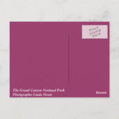 Het nationale park Grand Canyon Briefkaart (Achterkant)