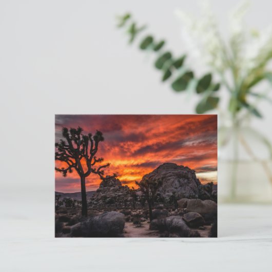 Het Nationale Park van de Boom van Joshua bij het Briefkaart (Staand voorkant)