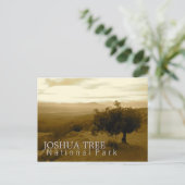 Het Nationale Park van de Boom van Joshua Briefkaart (Staand voorkant)
