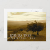 Het Nationale Park van de Boom van Joshua Briefkaart (Voorkant / Achterkant)