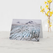 Het Nationale Park van de Fjorden van Kenai Kaart (Gele Bloem)