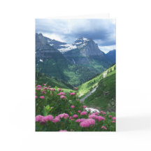 Het Nationale Park van de gletsjer