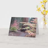 Het nationale park van de sequoia kaart (Gele Bloem)