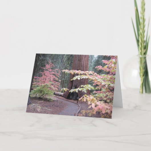 Het nationale park van de sequoia kaart (Voorkant)