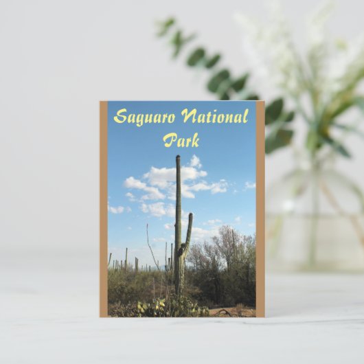 Het Nationale Park van Saguaro, het Briefkaart van (Staand voorkant)